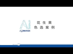 Professionelle Farbsortiermaschine zur Peeling- und Farbsortierung von Erdnüssen