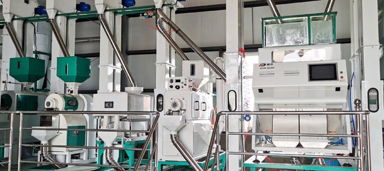 Dreamplus Reisfarbsorter Hochgenauigkeit 99,99% Sortiermaschine